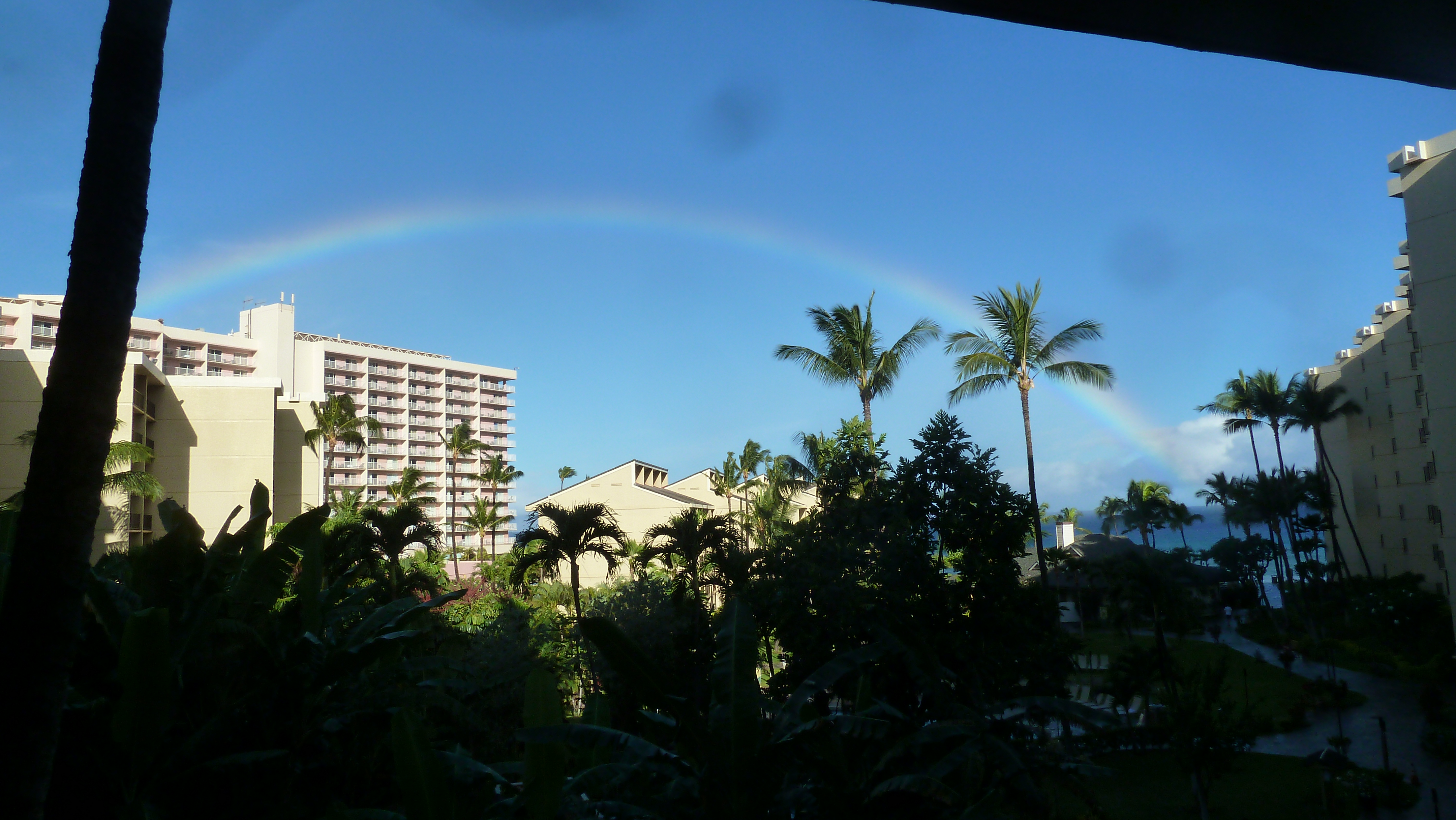 Hawaii Rainbow best